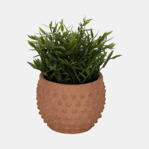 Blairpark Brown Planter 5 (In)